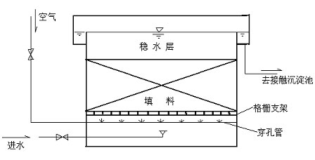 生物接觸氧化法.jpg